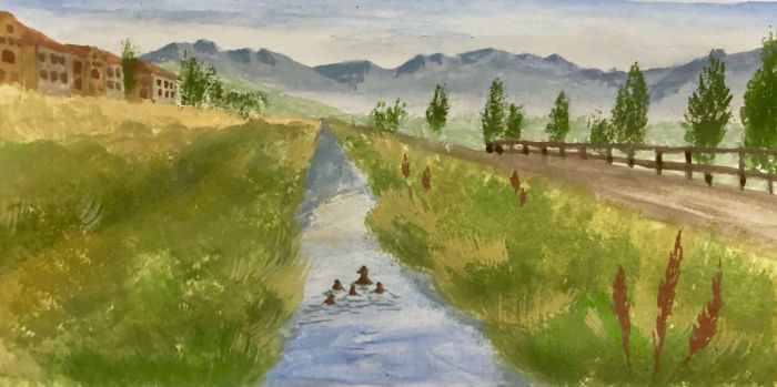 Ducks in the babbling brook by Amy Sue Stirland